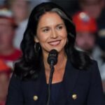 Der Senatsausschuss foerdert die Ernennung von Tulsi Gabbard zum Direktor