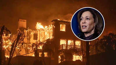 Donald Trump Internet Slams Kamala Harris ueber du kannst den