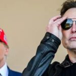 Donald Trump antwortet auf Elon Musks Was hast du diese