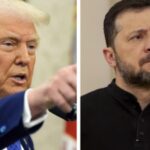 Donald Trump sagt Zelenskyy sollte nicht in Treffen mit Russland