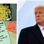 Elon Musk Donald Trump verwendet SpongeBob Meme um Bundesarbeiter nach