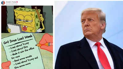 Elon Musk Donald Trump verwendet SpongeBob Meme um Bundesarbeiter nach