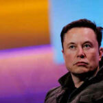 Elon Musk Slams Judges Order on Gender Ideology Webseiten