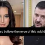 Elon Musks angebliche 13 Babys Mutter nennt Zelenskyy Gold Digger