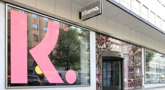 Klarna und Deel Eye Ipos und Stripe umfasst Krypto