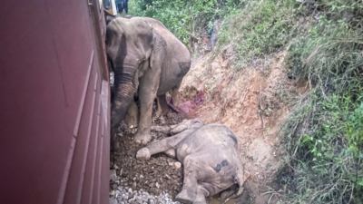 Sechs Elefanten getoetet nachdem der Beifahrerzug in Sri Lanka mit