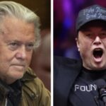 Steve Bannon Elon Musk Elon Musk fragt was Steve Bannon