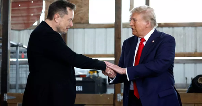 Trump sagt Musk werde dazu beitragen Hunderte von Milliarden im