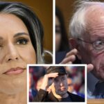 Tulsi Gabbard Bernie Sanders Elon Mosch