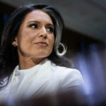 Tulsi Gabbard Fortschritte zur Bestaetigung als Intel Chief World