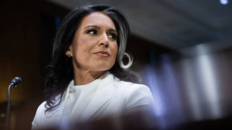 Tulsi Gabbard Fortschritte zur Bestaetigung als Intel Chief World