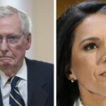 Tulsi Gabbard Neueste Nachrichten Mitch McConnell nur Republikaner der gegen