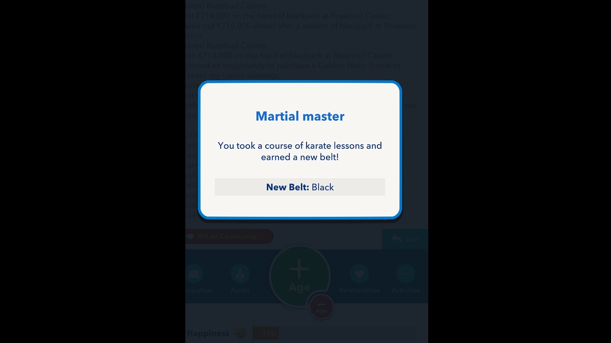 Bitlife Black Belt verdient