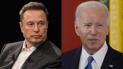 Die Eierpreise steigen in den USA Elon Musk sagt Joe