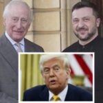 Donald Trump Zelenskyy Donald Trump schmollend als Koenig Charles Zelenskyy