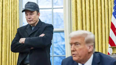 Donald Trump klammern Elon Musks Fluegel inmitten Maga und verwandelt