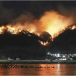 Japan kaempft gegen Waldbrand das Dutzende von Haeusern beschaedigte Hunderte