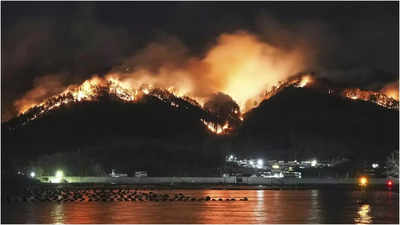 Japan kaempft gegen Waldbrand das Dutzende von Haeusern beschaedigte Hunderte