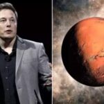 Menschen auf dem Mars bis 2029 Elon Musks SpaceX Starship