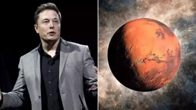 Menschen auf dem Mars bis 2029 Elon Musks SpaceX Starship