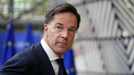 Rutte bestaetigt die NATO Mitgliedschaft der Ukraine aus der Frage