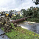 Schwere Stuerme Tornados und Waldbraende anrichten Chaos in den USA