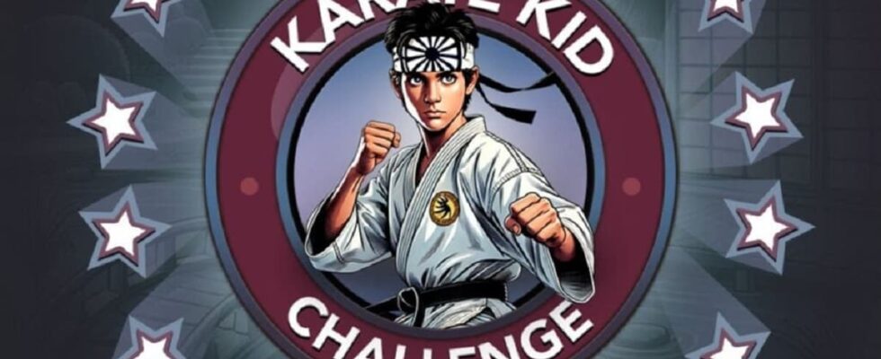 So vervollstaendigen Sie die Karate Kid Challenge im Bitlife