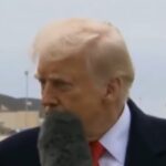 Trump Mic Incident Maga Aktivisten jagen Frau die Donald Trump