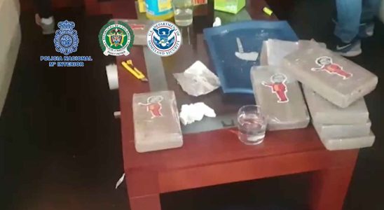 60 kilos de sa cocaine saisis a Guadalajara