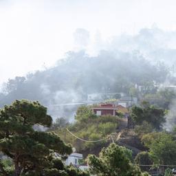 Au moins 500 personnes evacuees par un incendie de foret