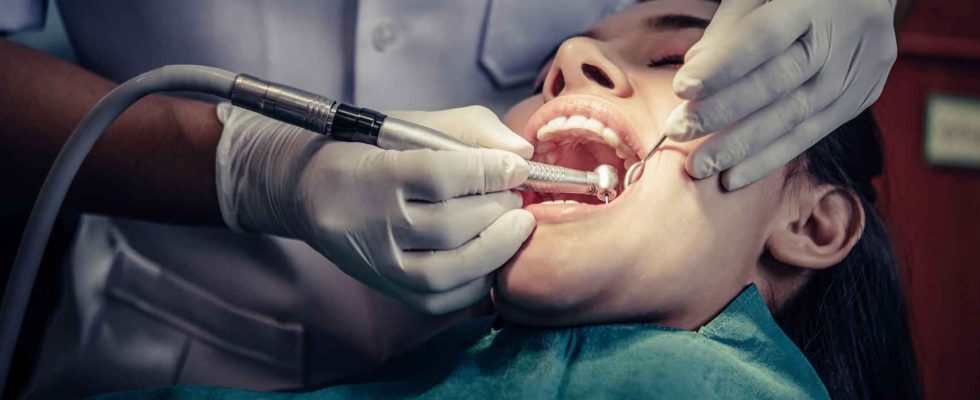 Cest la medecine japonaise qui vise a regenerer les dents