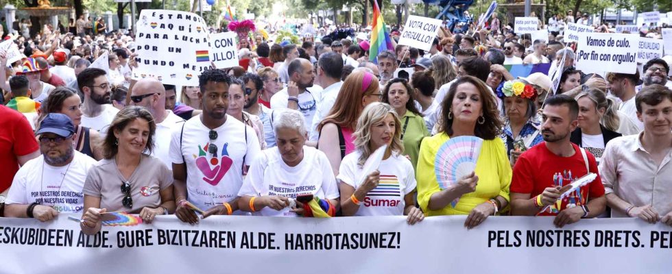 Demonstration de LGTBI Pride en direct