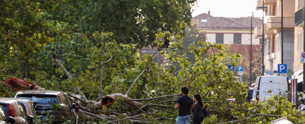 Des orages comme des cyclones font deux morts et dimportants