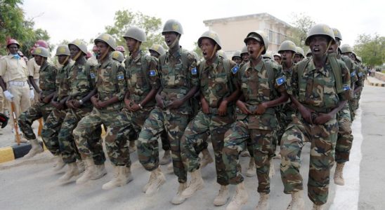 Des soldats somaliens tuent 17 membres presumes dAl Shabaab