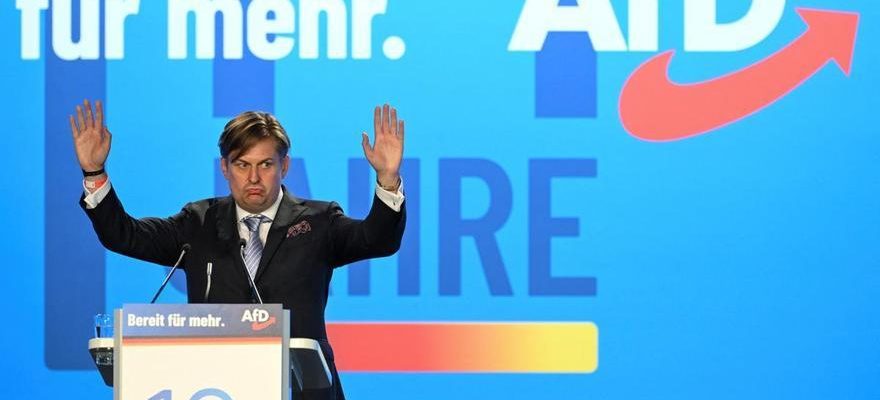 ELECTIONS EUROPEENNES Lextreme droite allemande cible lEurope au milieu