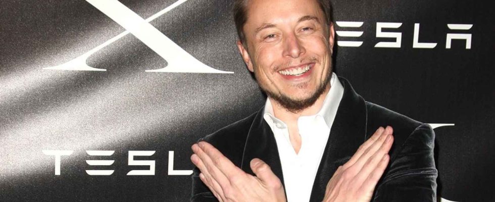Elon Musk tue lemblematique oiseau bleu