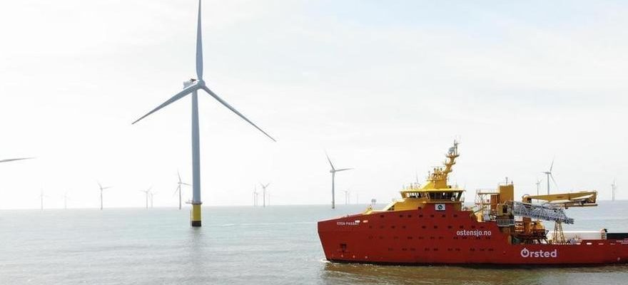 Energies renouvelables Le developpement de leolien offshore contribuera a