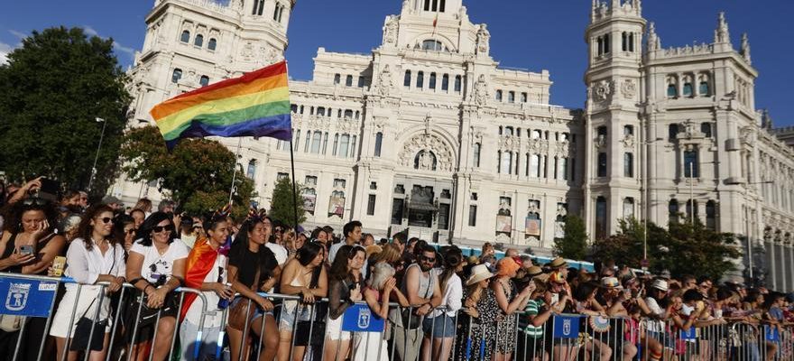 Fierte Madrid La fierte la plus politique remplit de