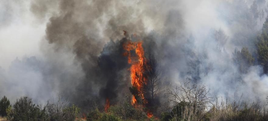 LAragon passe en niveau rouge a cause des incendies