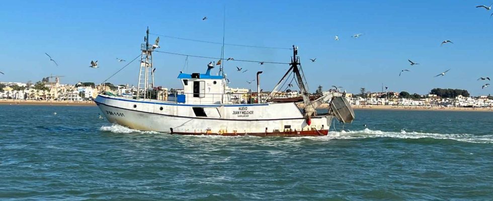 La peche espagnole se meurt avec son niveau de flotte