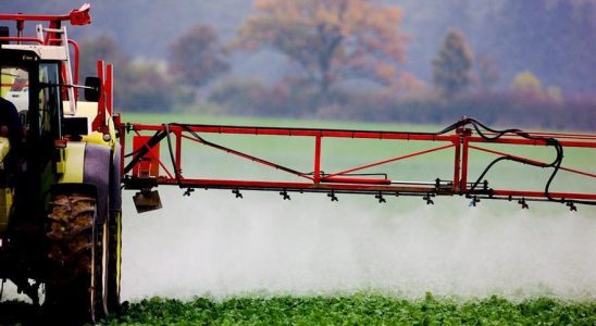 La reduction des pesticides naffecte pas la securite alimentaire selon