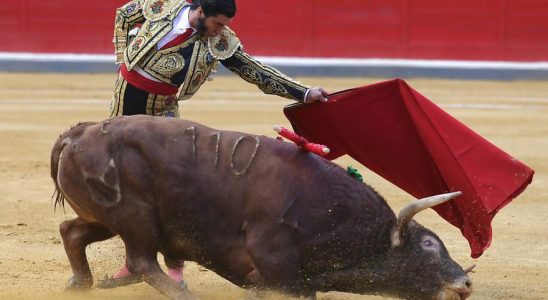 La saison estivale des corridas commence ce jeudi a Teruel