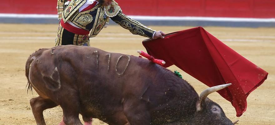 La saison estivale des corridas commence ce jeudi a Teruel