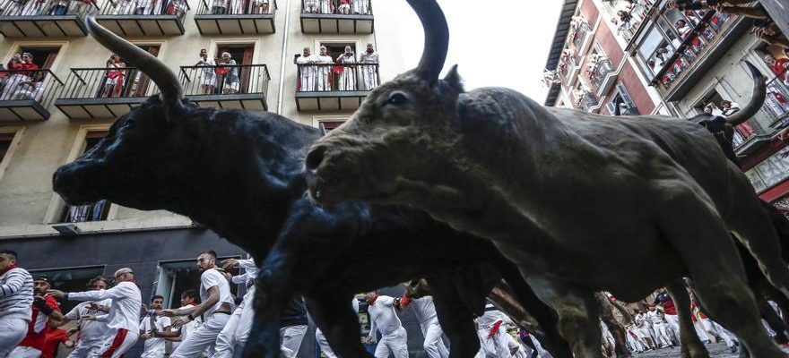 La spectaculaire operation de securite a Pampelune pour les Sanfermines