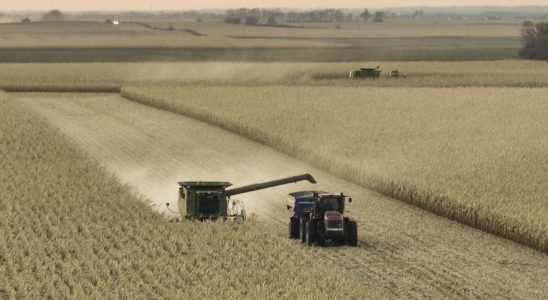 Le blocus des cereales ukrainiennes frappe a nouveau en Aragon