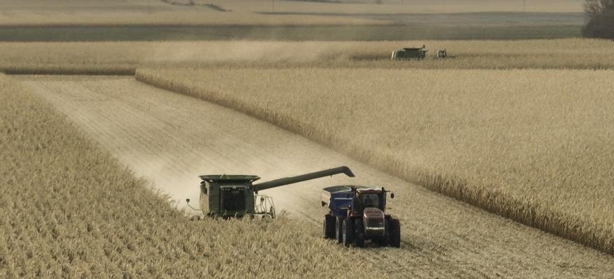 Le blocus des cereales ukrainiennes frappe a nouveau en Aragon