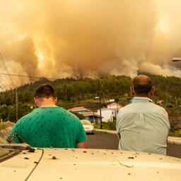 Le feu de foret sur lile espagnole de La Palma