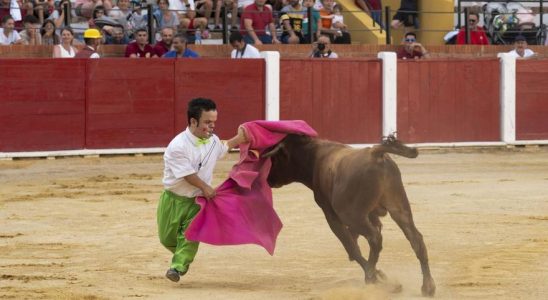 Les controverses toreros nains ouvrent la foire taurine de Teruel