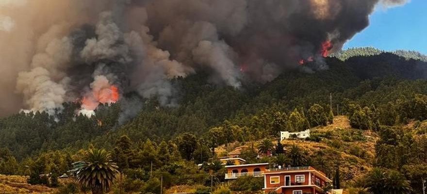 Les images de lincendie de La Palma