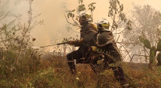 Les incendies de foret en Algerie font deja 34 morts